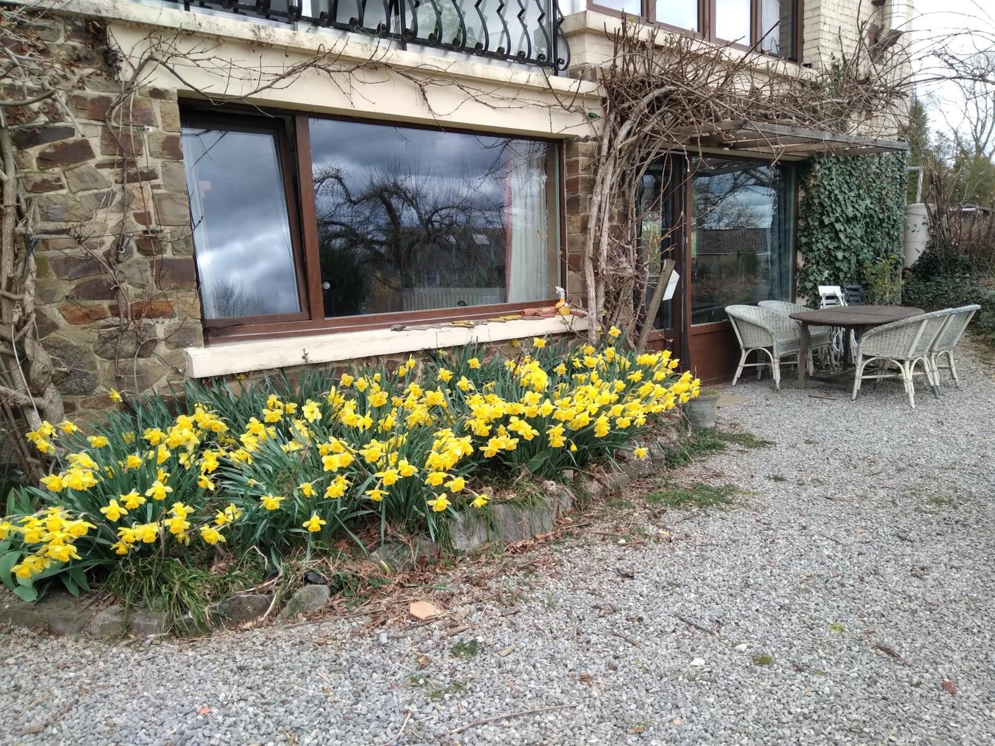 Villa DINANT La Bergeronnette Exterior foto